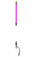 Buggy Whip LED Partially Lighted Whip - Deutsch Connection