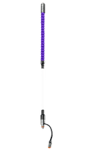 Buggy Whip LED Partially Lighted Whip - Deutsch Connection