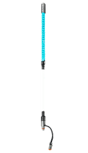 Buggy Whip LED Partially Lighted Whip - Deutsch Connection