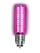 LED Top Light for Buggy Whip® Whips - Dual Row