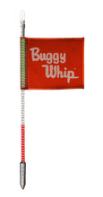 LED Whips With Lighted Top Option - (24 Volts)