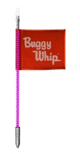 LED Whips With Lighted Top Option