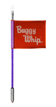 LED Whips With Lighted Top Option - (24 Volts)
