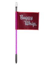 LED Whips With Lighted Top Option
