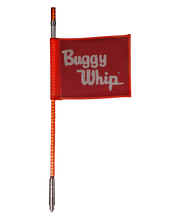 LED Whips With Lighted Top Option